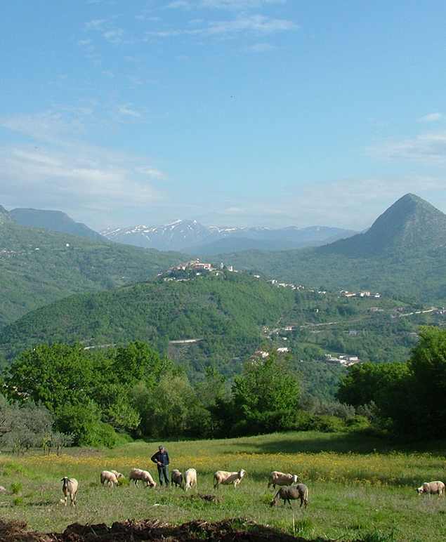 Parco Nazionale d’Abruzzo, Lazio e Molise Scapoli pascoli vista montagna rocchetta al volturno casita1906